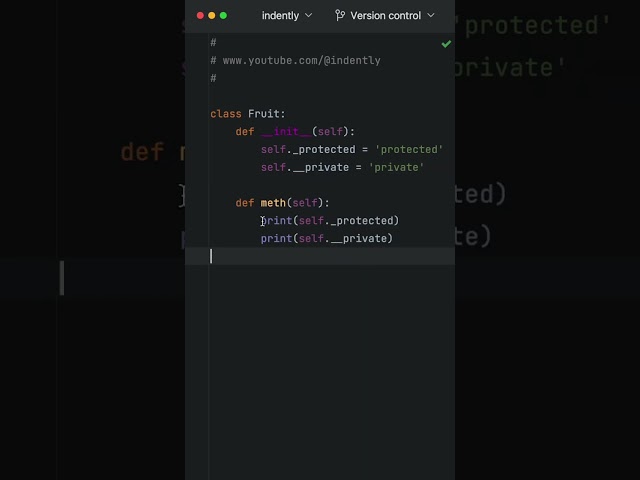 THIS Is HOW You Create PRIVATE & PROTECTED Variables In Python