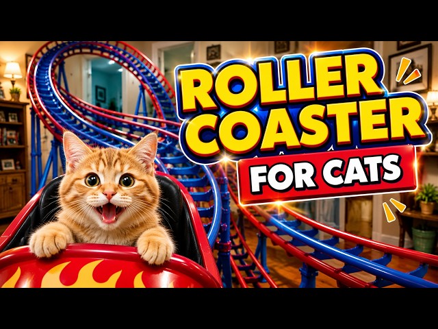 Roller Coaster For Cats 😱🐱 Cats Will React! | Montaña rusa para gatos 😱 ¡Los gatos reaccionarán!