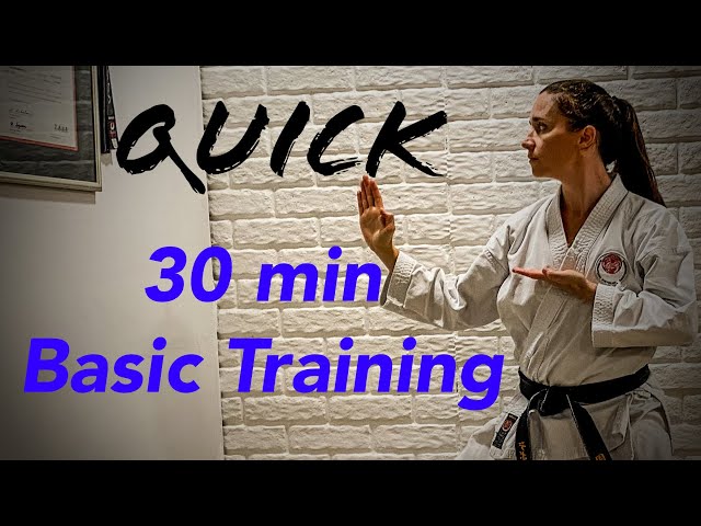 Karate workout: 30 min basic training