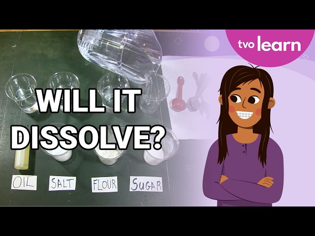 Dissolving Substances in Water💧| DIY Science Experiments 🧪🔬 | TVO Learn