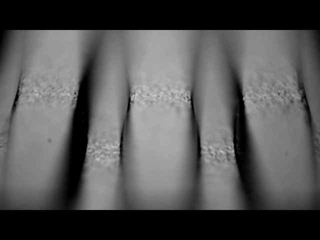 Flashback 7 Trailer