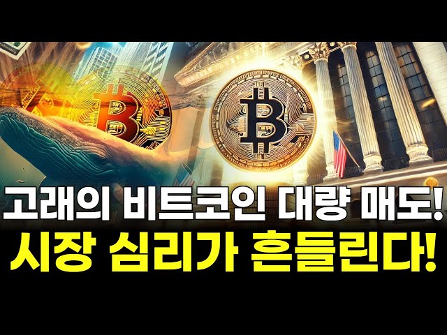 Whales Sell Off Bitcoin in Massive Volume! Market Sentiment Shakes!