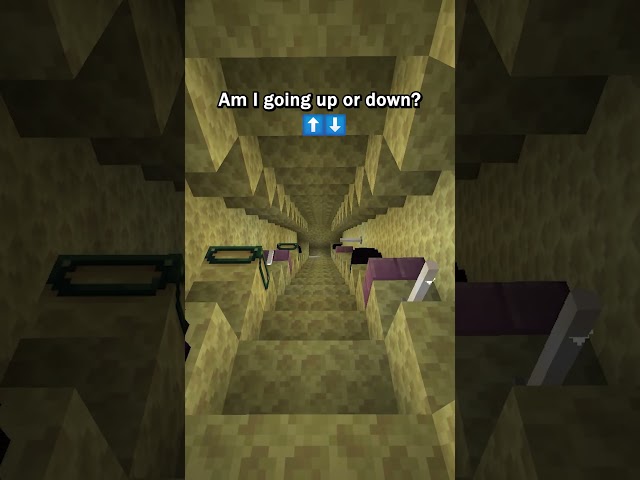 Crazy Minecraft Optical Illusion #minecraft #shorts #minecraftshorts