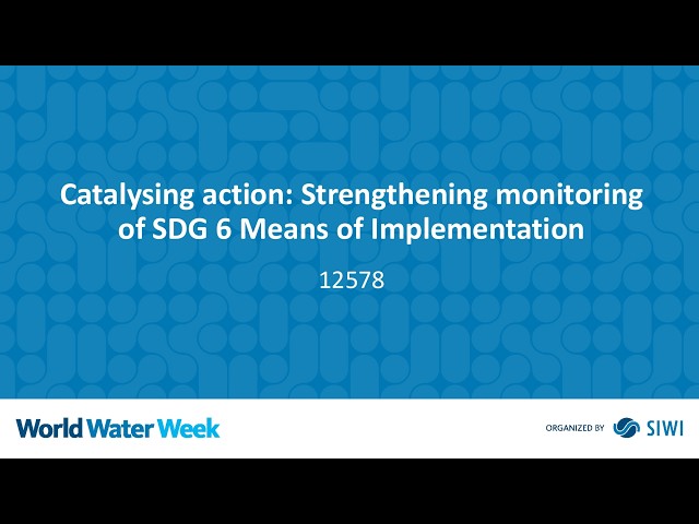12578 Catalysing action: Strengthening monitoring of SDG 6 Means of Implementation