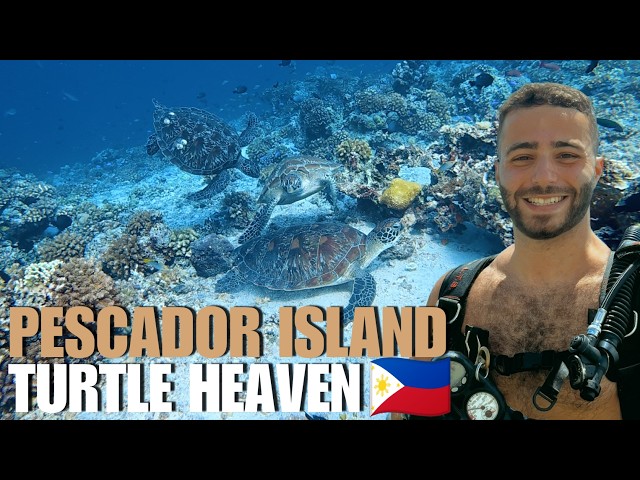 Pescador Island: Best Dives of My Life | Moalboal, Cebu, Philippines 🇵🇭