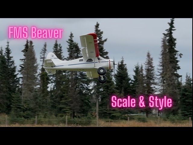 FMS Beaver: In its native Alaskan habitat!