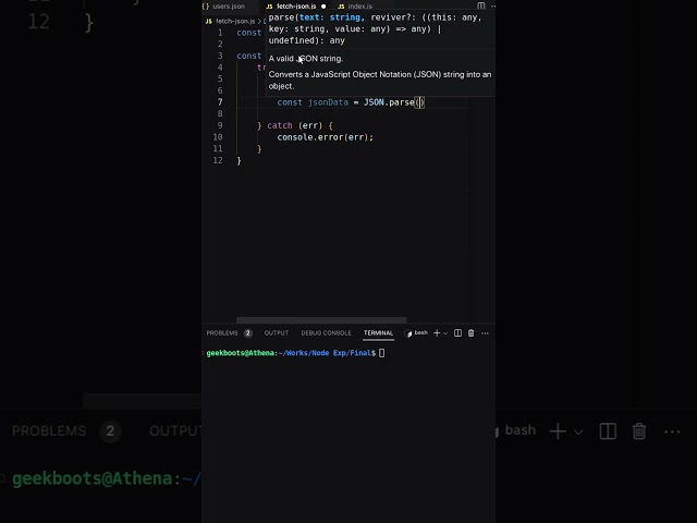 Fetching JSON Data Using Node.js: Step-by-Step Tutorial | Geekboots