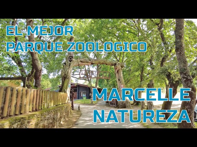 The BEST ZOO in GALICIA: MARCELLE NATUREZA, Outeiro de Rei, Lugo