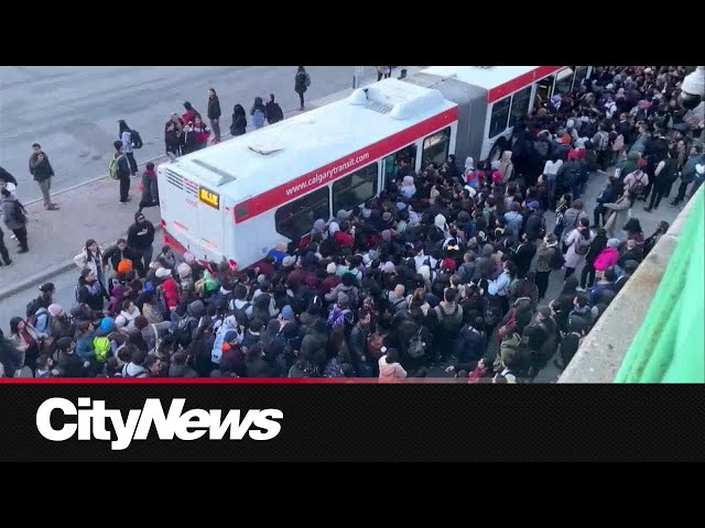 LRT fatality in NE Calgary leads to shuttle bus chaos