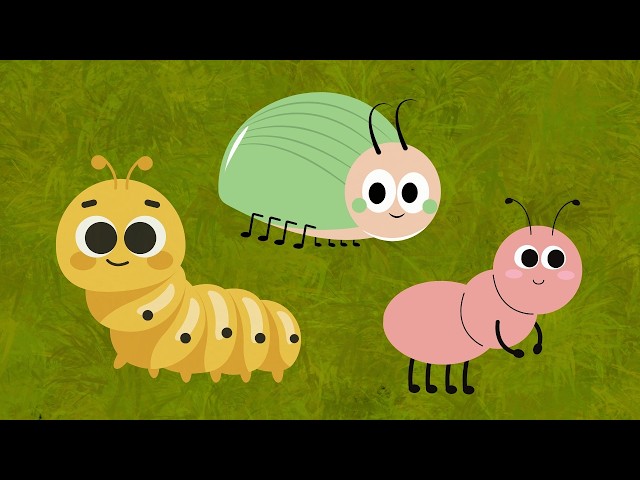 Baby Bugs Adventure | Baby Sensory