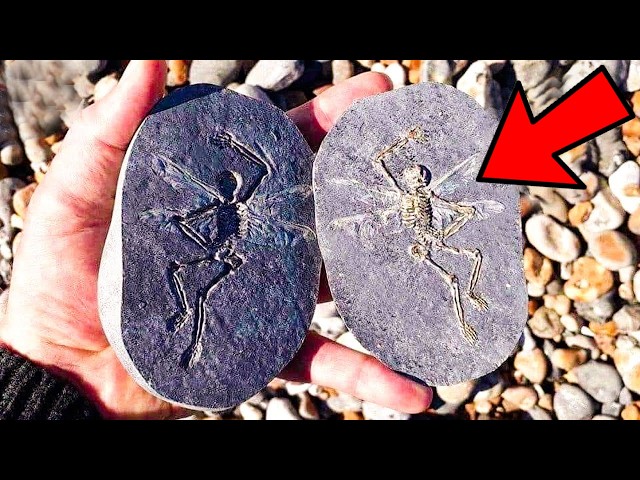20 Mysterious Archaeological Finds That Shouldn't Exist