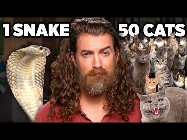 Would You Rather (Pet Edition)