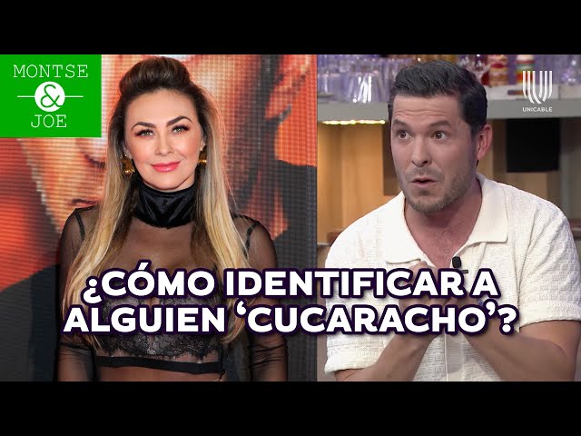 Jorge Lozano recordó cuando Aracely Arámbula llamó cucaracho a Luis Miguel en su show | Montse y Joe