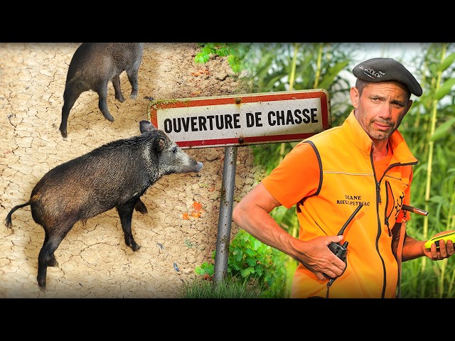 UNE OUVERTURE DE CHASSE INOUBLIABLE avec Willy Berdeil, sa première battue de la saison 2026