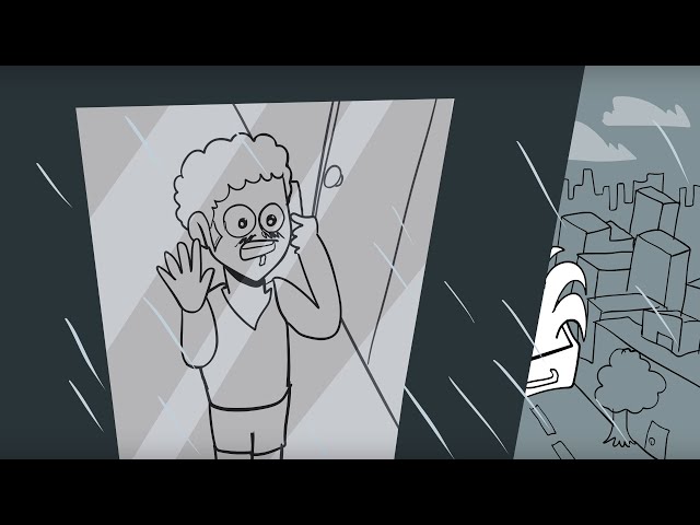WINDOW