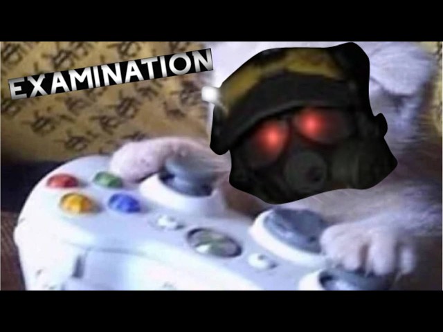 gilbert playtests his own game 🔥 | roblox examination