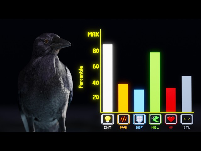 Are Crows Overpowered?