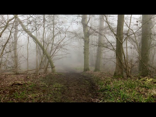 Kingswood, Ampthill