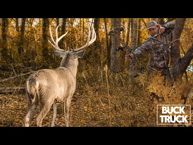 3 BUCKS in 2 STATES on 1 TRIP!