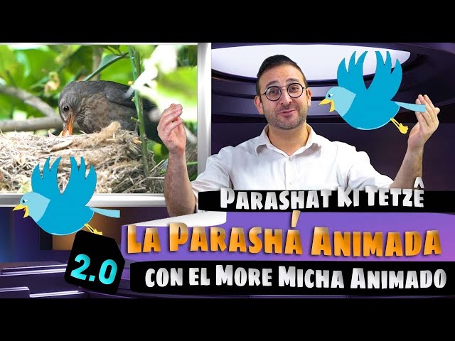 49 - Parashá Ki Tetze - La Parasha Animada con el More Micha Animado 2.0 (Versión en Español)