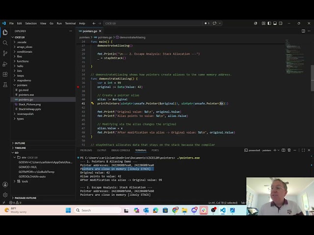 Go Stack Heap Pointers