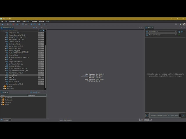 SQL Server Connection