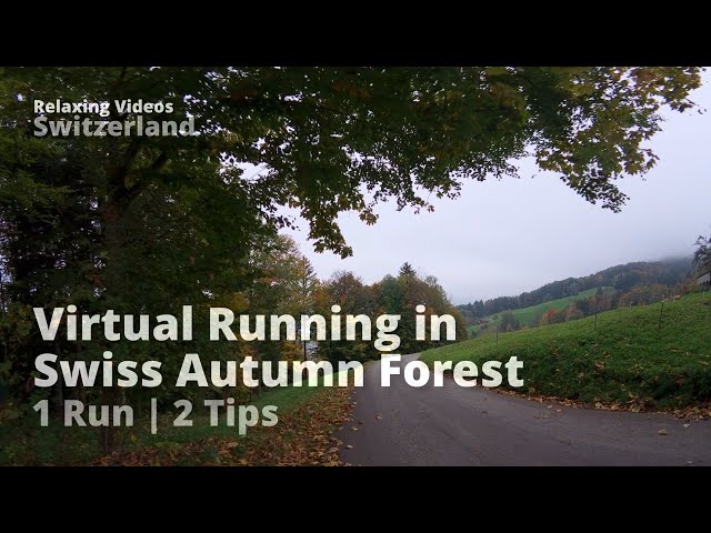 Swiss Autumn Forest Trail Run 4K VR180 | Peaceful Alpine Nature Sounds