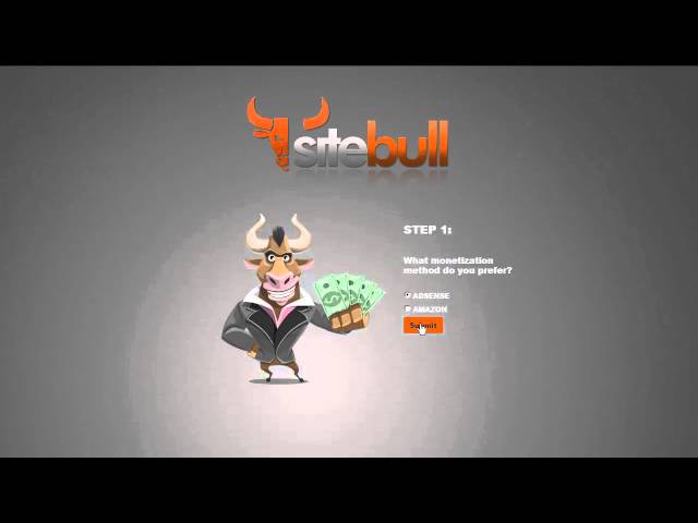 Sitebull Authority Website Creation Service | Amazon / Adsense