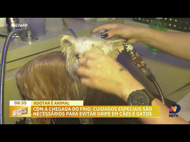 AO VIVO: SC no Ar | 02/06/2026 | NDTV RECORD