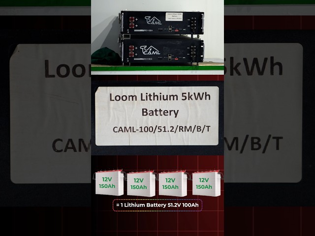 Loom Solar Lithium Battery 51.2V 100Ah #shorts #short #shortvideo