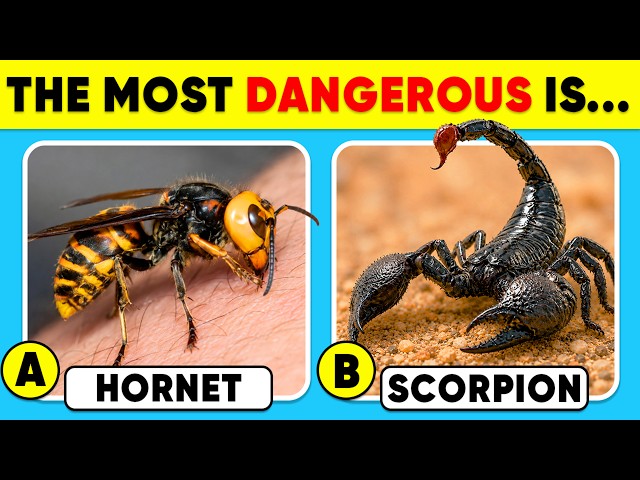 How Good Is Your Knowledge of WILD ANIMALS? 🐝🦂✅ General Knowledge Trivia Quiz
