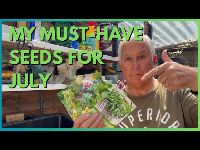 Summer Allotment & Garden Update | Sowing Salad Crops, Onion Check & Practical Growing Tips