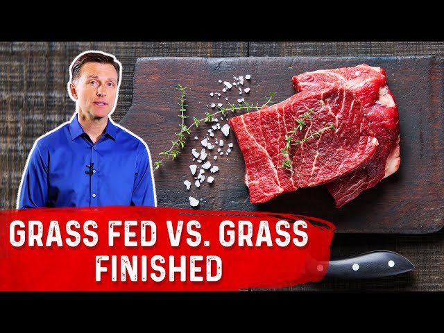 Grass-Fed vs. Grass-Finished Beef – Dr. Berg