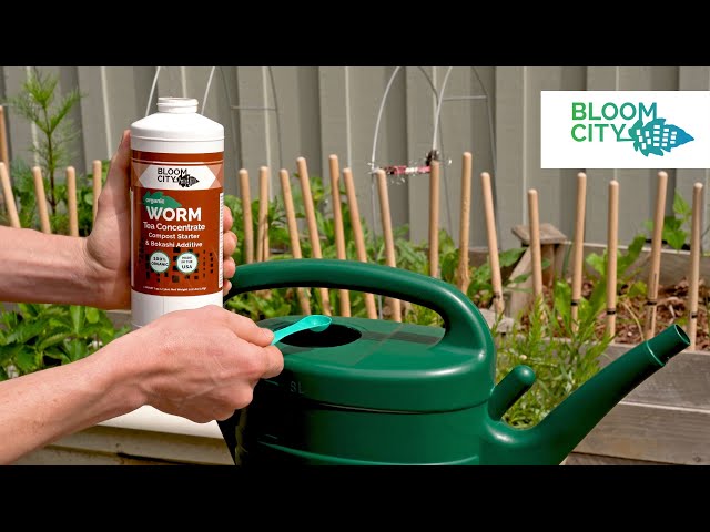 Bloom City | Worm Tea Concentrate | Organic Plant Supplement
