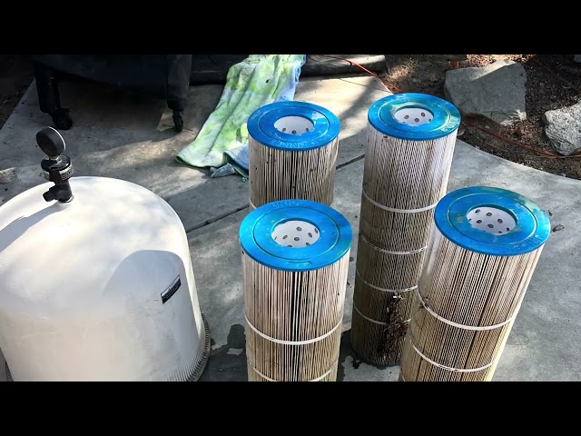 How It All Started: My First Pool Cleaning Client | March 2026