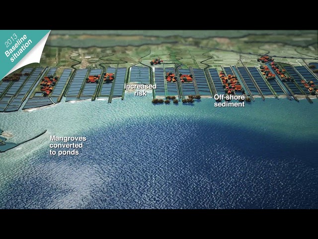 Building with Nature Indonesia: Baseline scenario coastal erosion in Demak, Northern Java