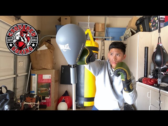 Everlast Hyperflex Strike Reflex Bag REVIEW- AN AFFORDABLE COBRA BAG ALTERNATIVE?