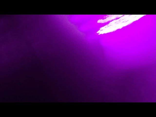 B2-5 Color Video cc0 license injected