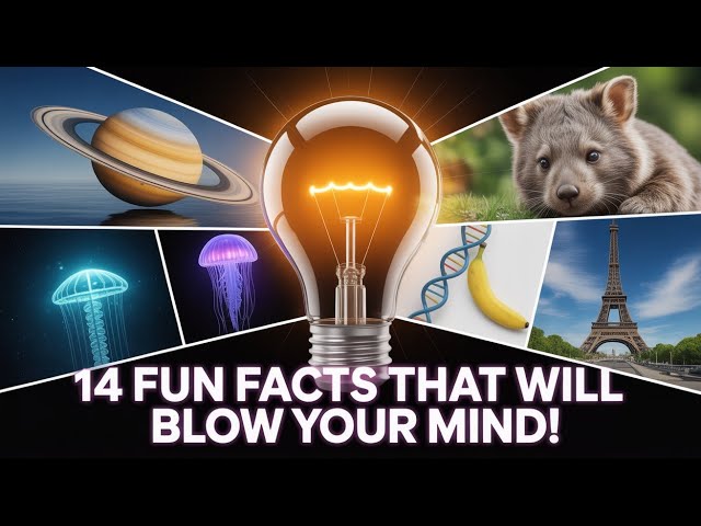 Knowledge Nuggets 14 Fun Facts That Will Blow Your Mind!