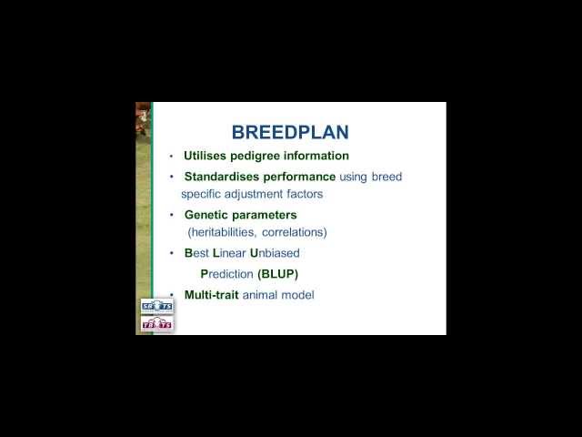 BREEDPLAN Basics: What You Need to Know