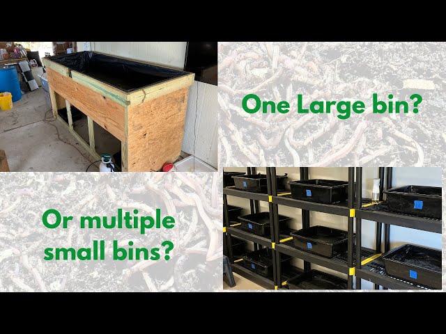 One big bin or multiple small bins for your red wiggler compost worms?