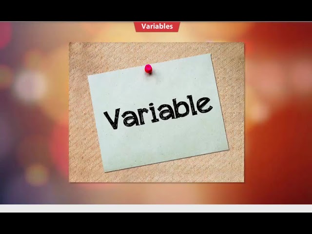 All basics of Java in one shot | Instant Education Official|