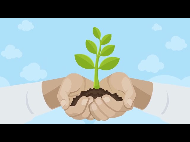 How to sustain good practice in Workplace Wellbeing?