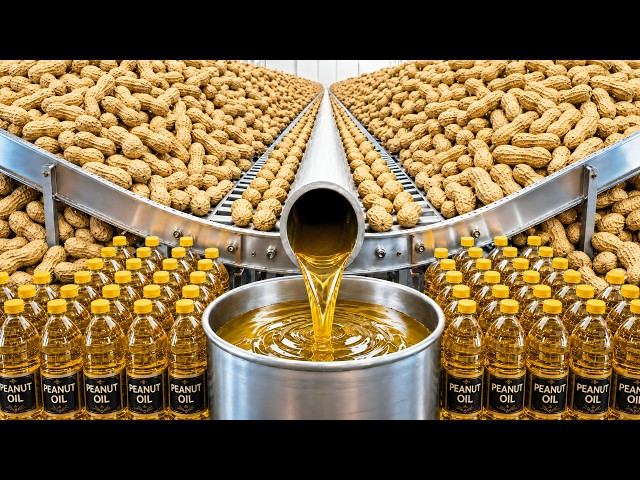 Inside the Factory Turning Millions of Fresh Peanut Pods into Pure Peanut Oil | Full Process