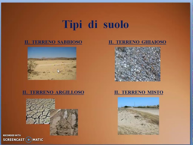GLI  STRATI  DEL  SUOLO   I  TIPI  DI  SUOLO