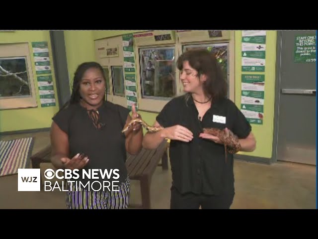 Around Town The Irvine Nature Center is hosting a World Snake Day celebration