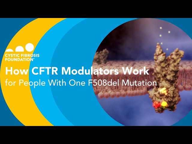 CF Foundation | How CFTR Modulators Work for People With One F508del Mutation