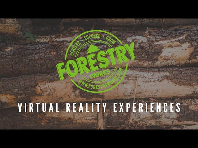 Timber Harvesting VR Experience | Fellerbuncher