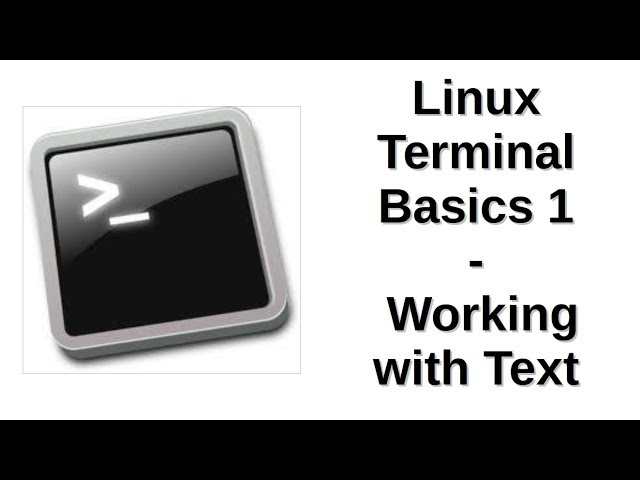 Linux Terminal Basics 1 | Working with Text