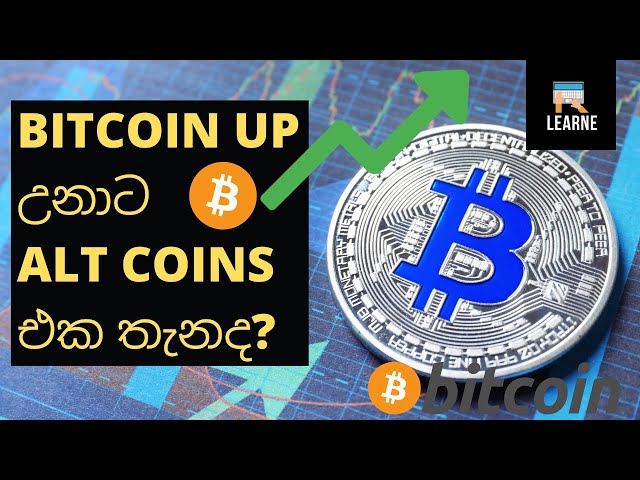 What is Bitcoin Dominance? - Crypto Sinhala